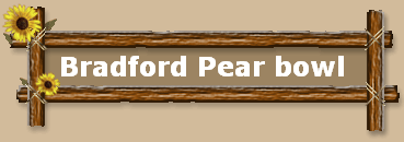 Bradford Pear bowl