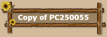 Copy of PC250055