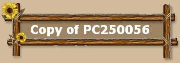 Copy of PC250056