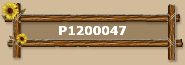 P1200047