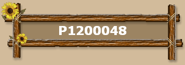 P1200048