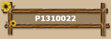 P1310022
