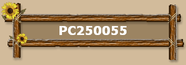 PC250055