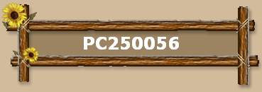 PC250056