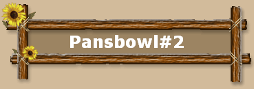 Pansbowl#2
